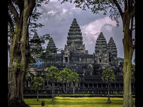 Cover media image
