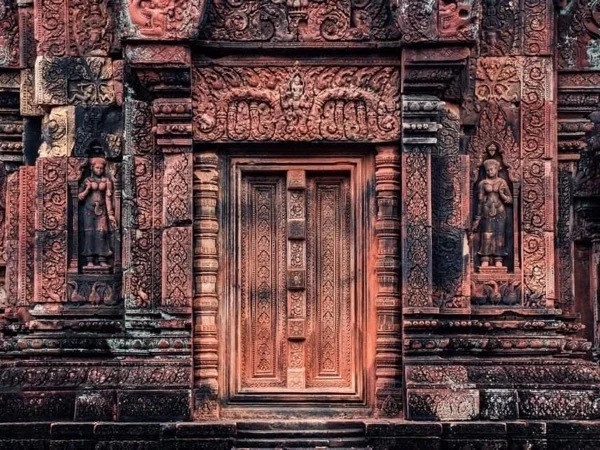 Cover media image