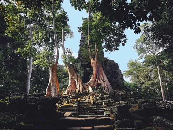 Cover media image