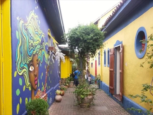 Cover media image
