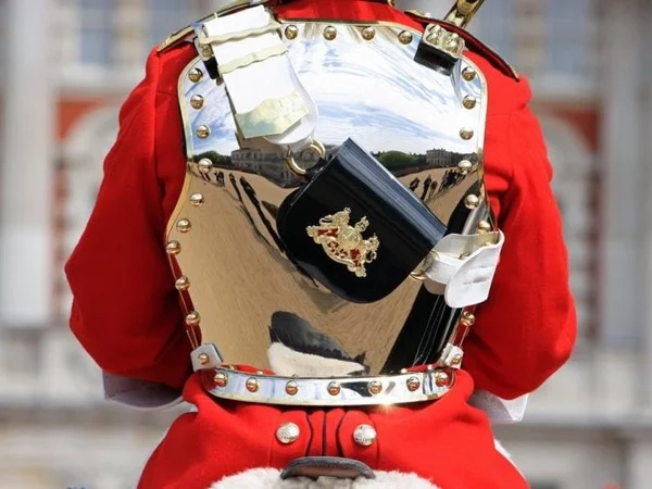 Cover media image