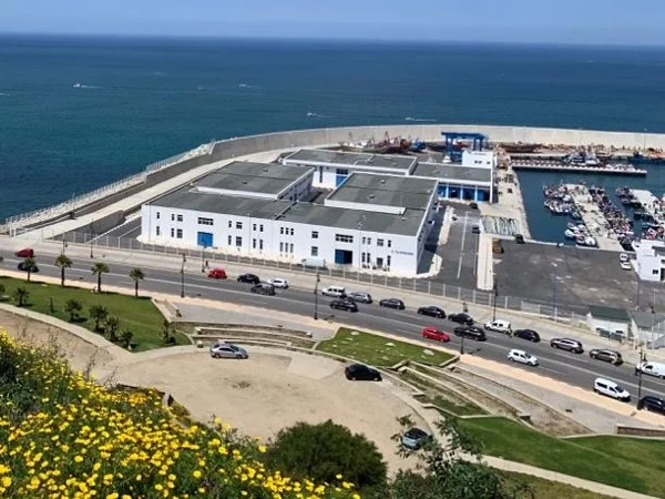 Tangier Walking Half-day Tour (from cruise ship)