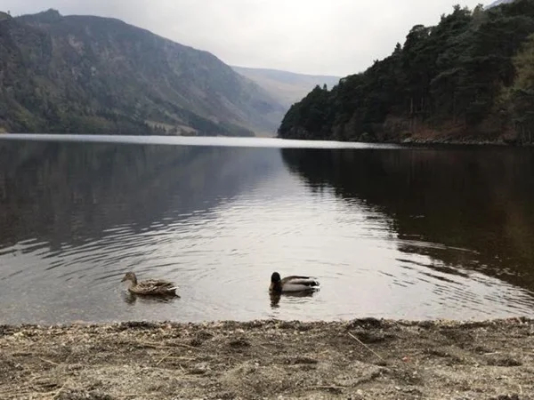Wonderful County Wicklow - The Garden of Ireland