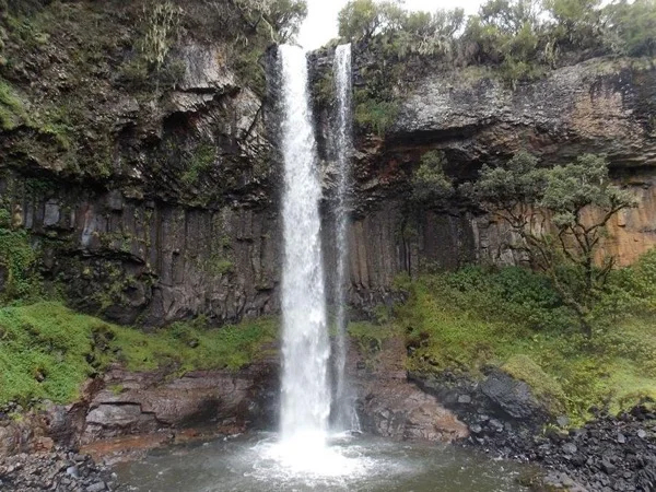 Full day tour to Aberdares National Park