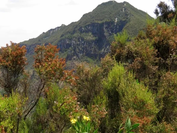 Day Hike to Mount Longonot