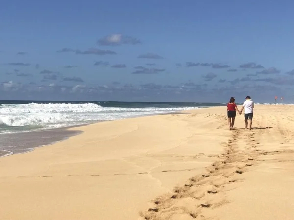 Your Long Day Private Tours of Oahu, Hawaii (Groups of 1-5 or of 1-4 w/ luggage)