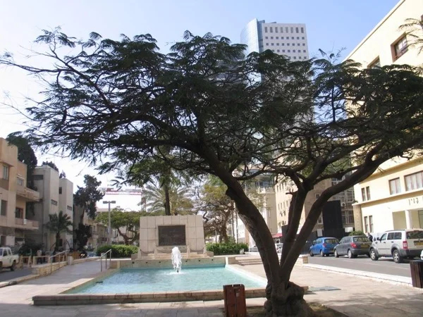 Tel Aviv and Jaffa Private Tour