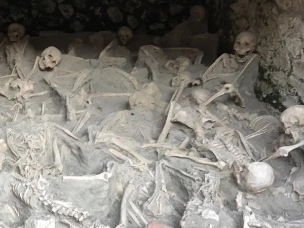 2 Hours Private Tour of Herculaneum