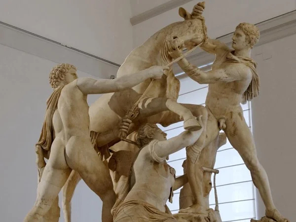 Guided Tour of the National Archeological Museum of Naples