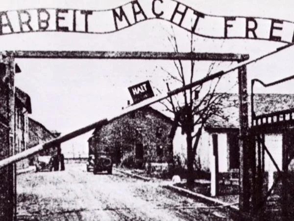 Auschwitz - Birkenau Private Tour and Wieliczka Salt Mine full day tour from Krakow