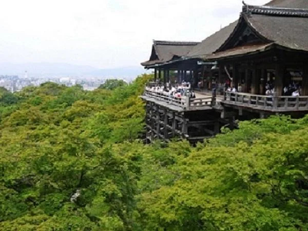 Private Tour for Kyoto - Half Day walking tour of Kiyomizu temple and Gion district