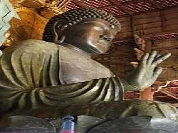 Private Walking Tour - Half Day in Nara