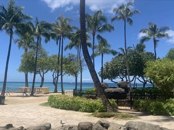 Green and Blue Oahu full day Private North Shore Tour