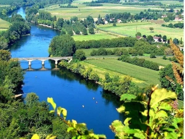 Cover media image