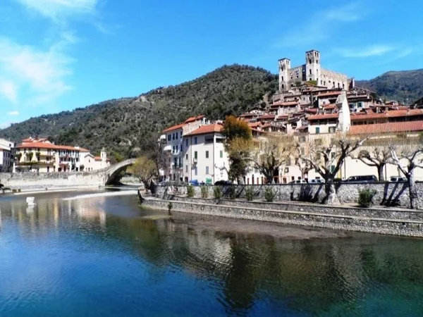 Cover media image