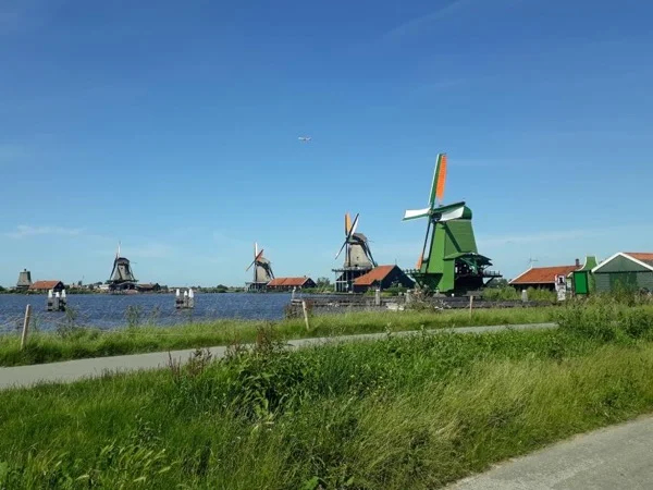 Half-day Tour to the largest windmill complex nearby Amsterdam