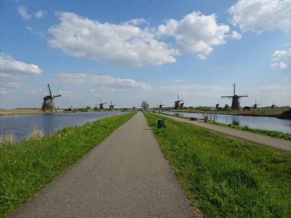 Half-day tour to the largest complex of windmills in The Netherlands