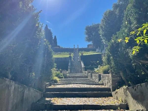 Bardini and Boboli gardens with the highlights of Florence