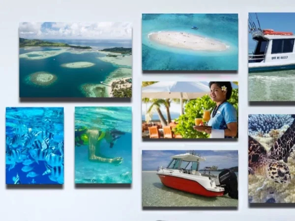 Cover media image