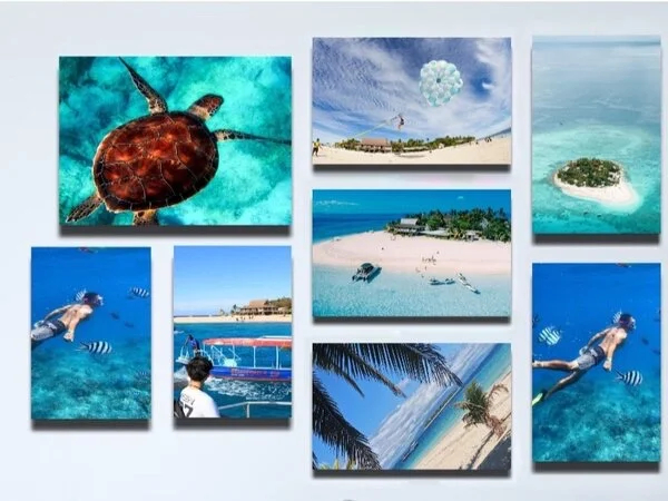 Cover media image