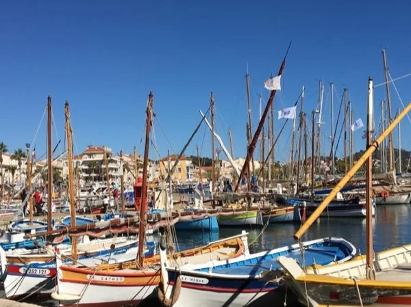 Sanary sur Mer, Le Castellet and Cassis Tour