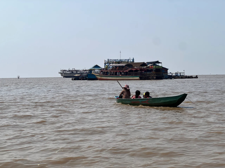 Cover media image