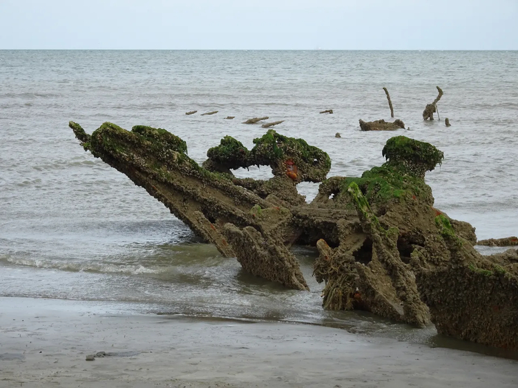 Cover media image