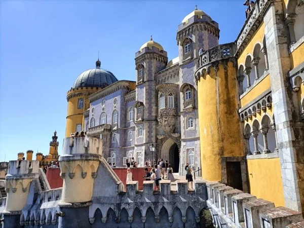 Cover media image