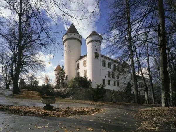 Cover media image