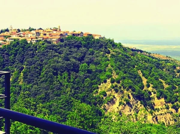 Kakheti/East Georgia: Private Day Tour To Charming city of Sighnaghi