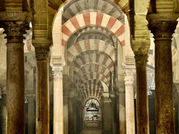 Cover media image
