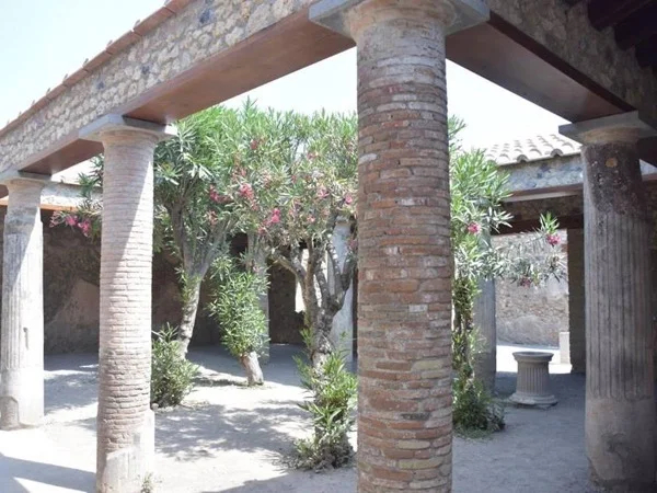 A visit trip to Pompeii OR Herculaneum