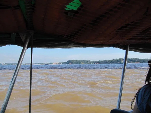Cover media image