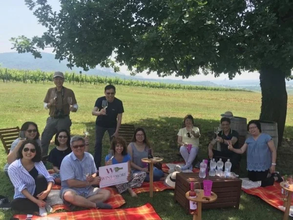 Lake Balaton Wine Tasting Private Tour (from Budapest)