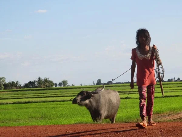 Private Tour Siem Reap Countryside Ride