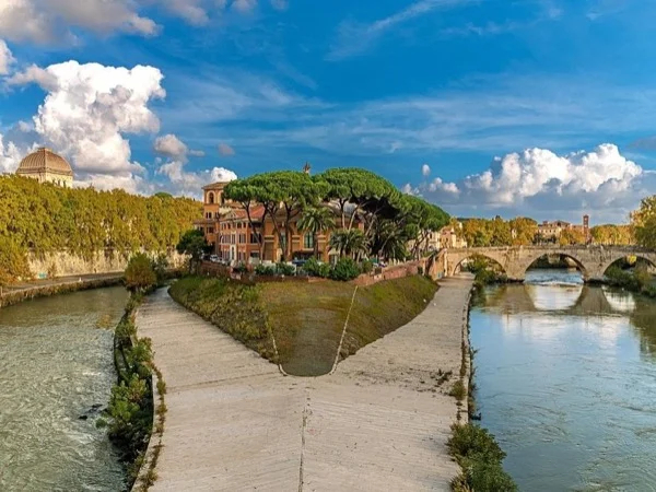 Cover media image
