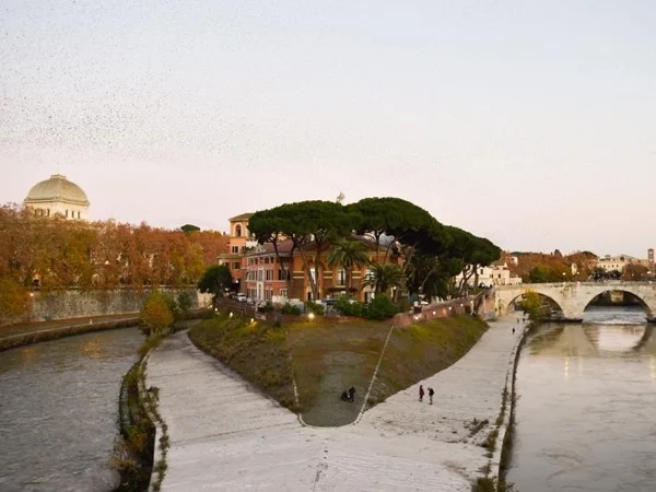 Jewish Ghetto and Tiberine Island Private Walking Tour