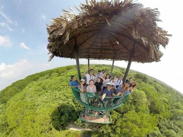 Vam Sat Mangrove Biosphere Reserve, Full Day Tour