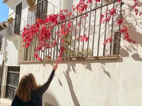 Muslim Granada: Palaces of Albayzin in Andalusian Monuments Tour