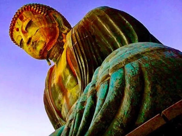 Cover media image
