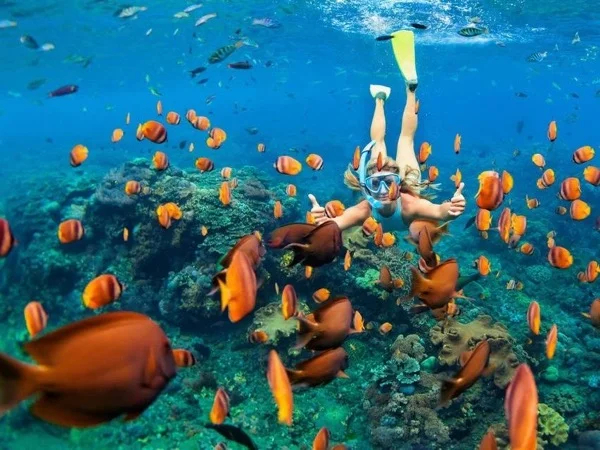 Explore & Snorkeling to Gili Kondo,Gili Bidara, Gili Kapal, & Gili Petagan