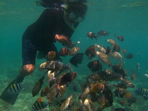 Gili Trawangan, Gili Air, & Gili Meno Snorkeling Trip