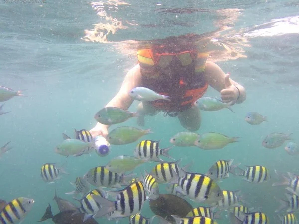Activity for Cruise Ship Passenger