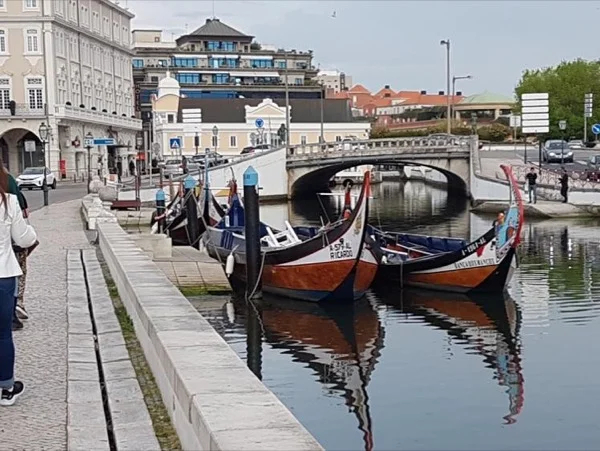 'The Portuguese Venice' Aveiro Full Day Private Tour