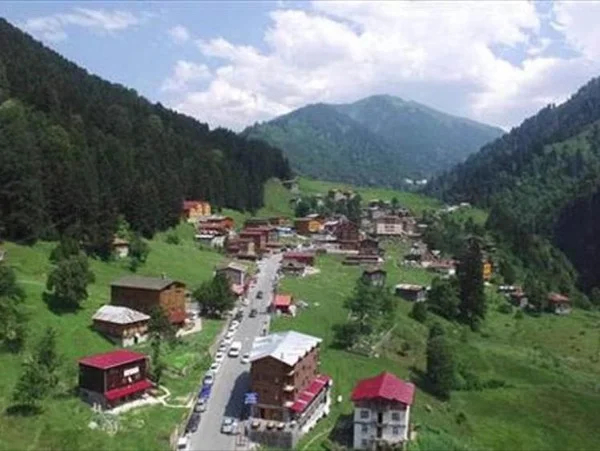 Cover media image