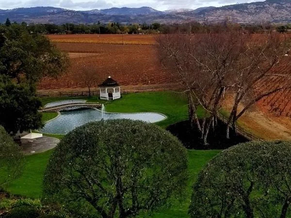 A day in Napa Valley Wine country