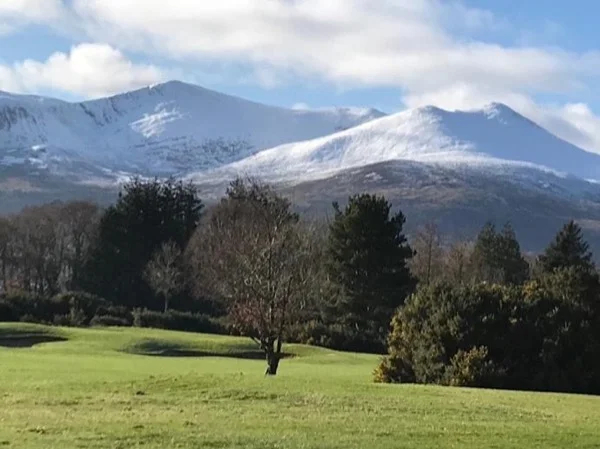 Highlights of Killarney National Park - 4 hours