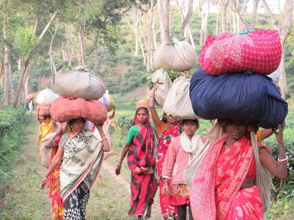 Best of Bangladesh 19 Days Fully Private Tour