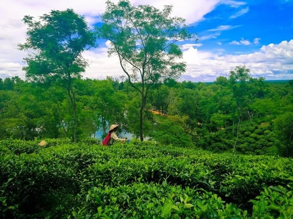 Highlights of Bangladesh: A Multi-Day Private Tour