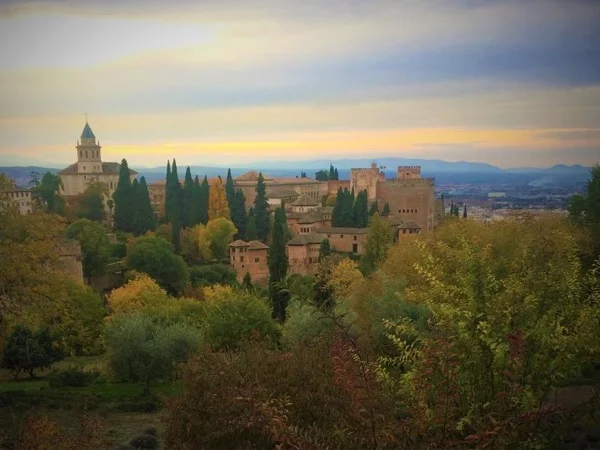 Intensive Alhambra & Granada Half Day Tour